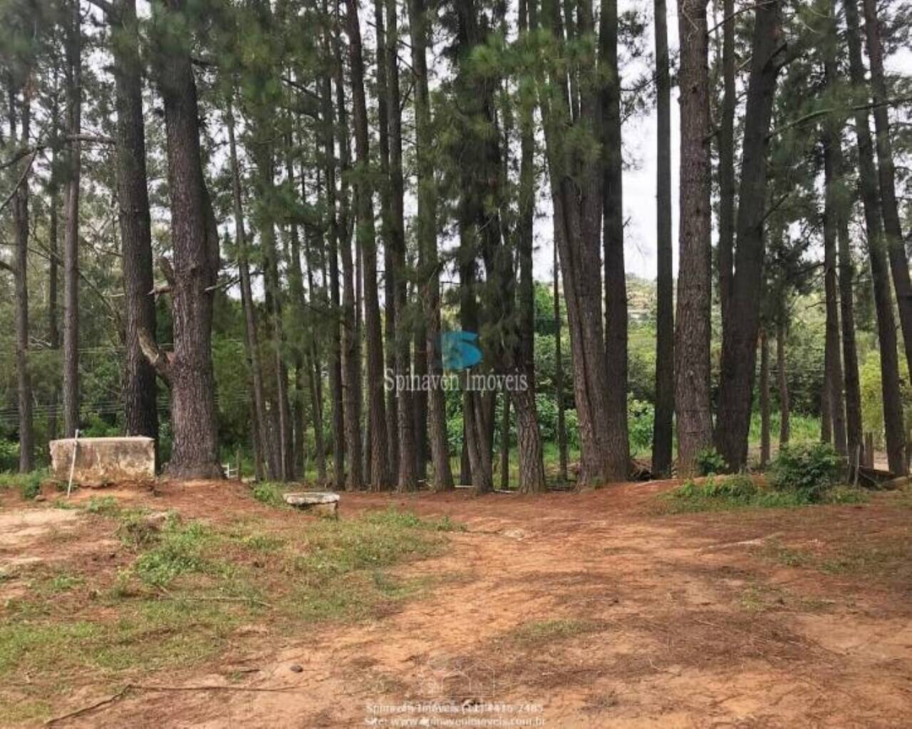 Terreno - Foto 7