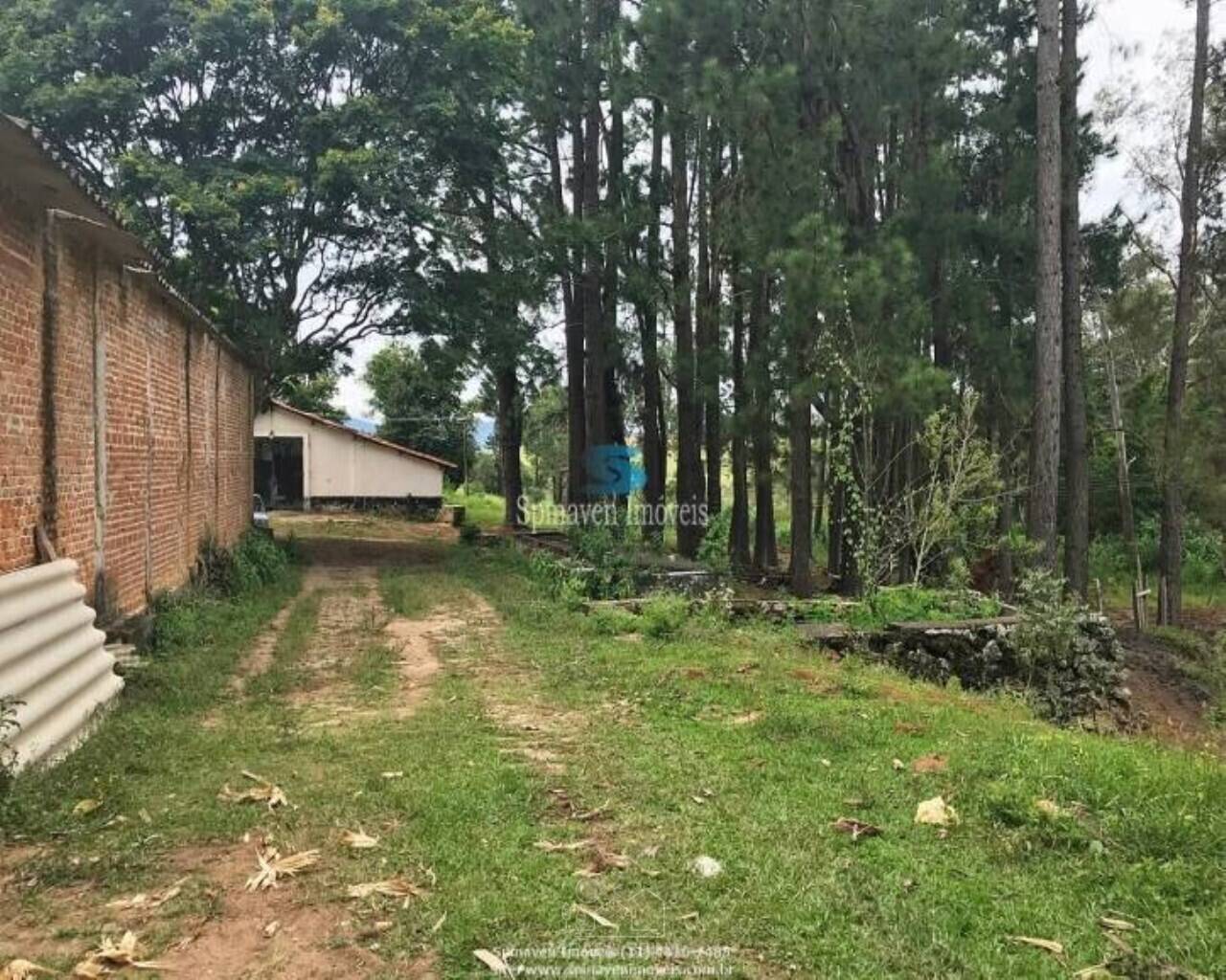 Terreno - Foto 12