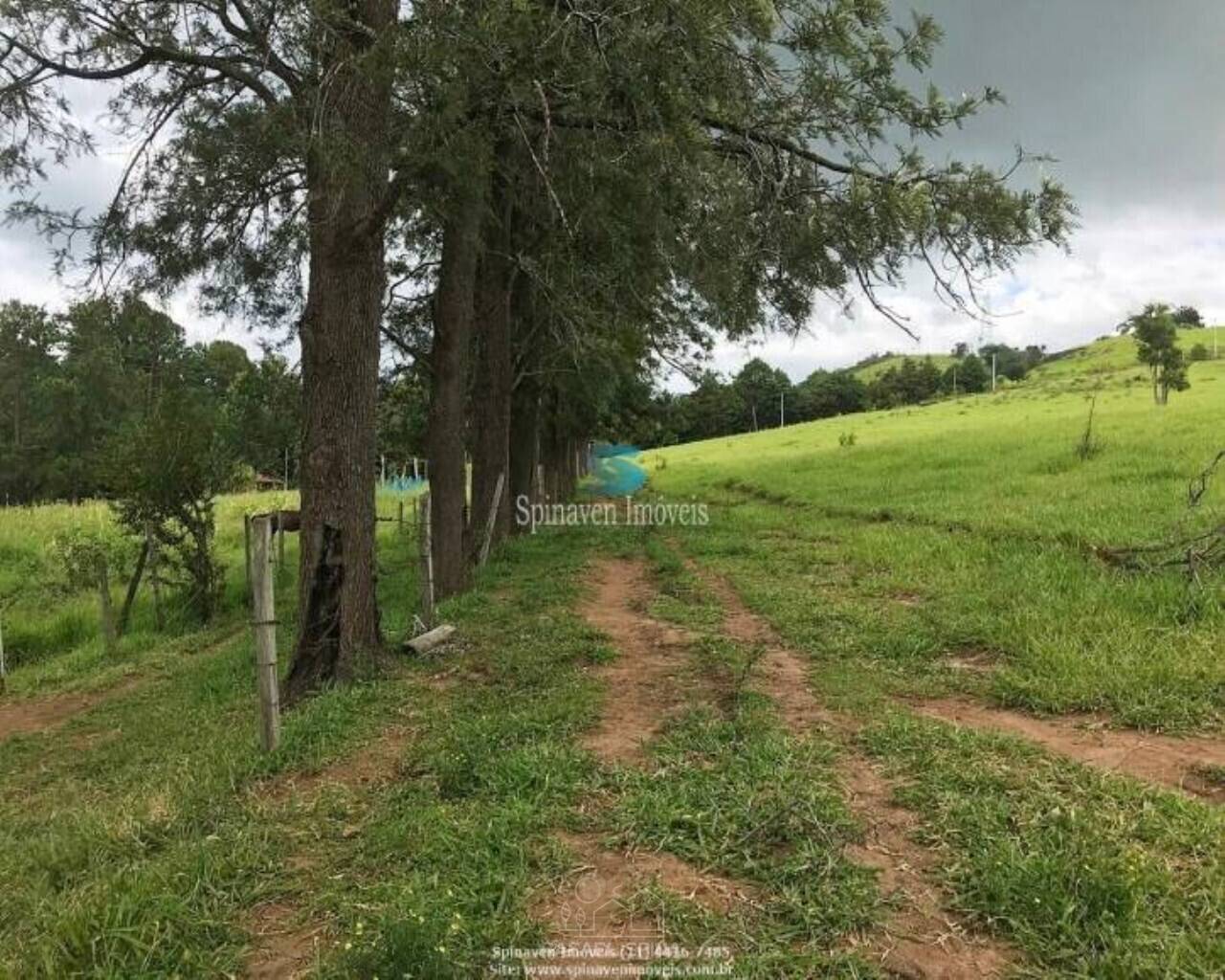 Terreno - Foto 28