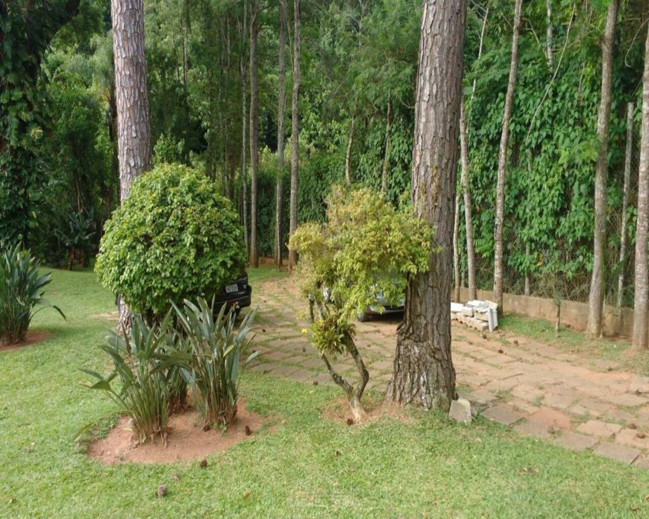 Terreno - Foto 19
