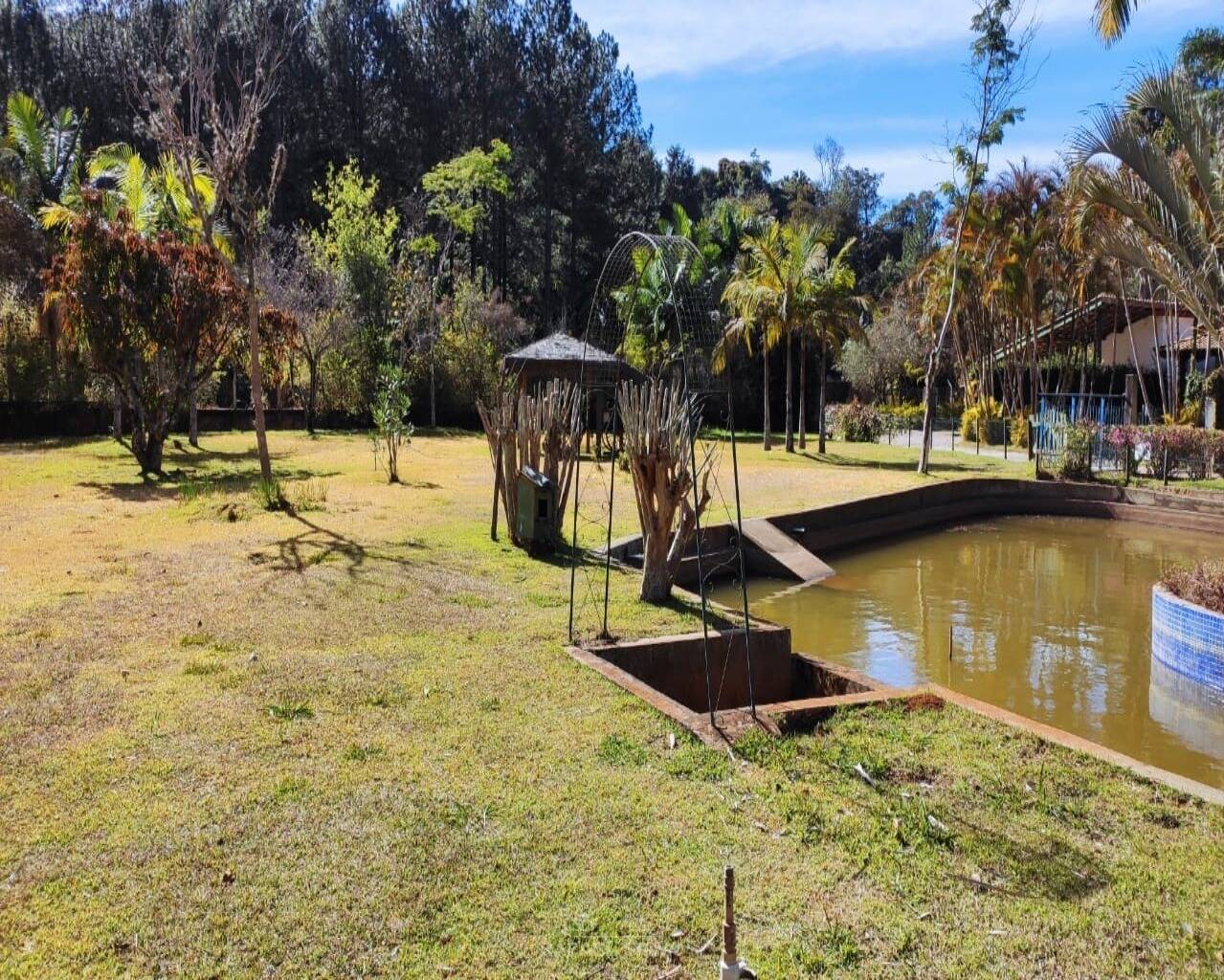 Terreno - Foto 2