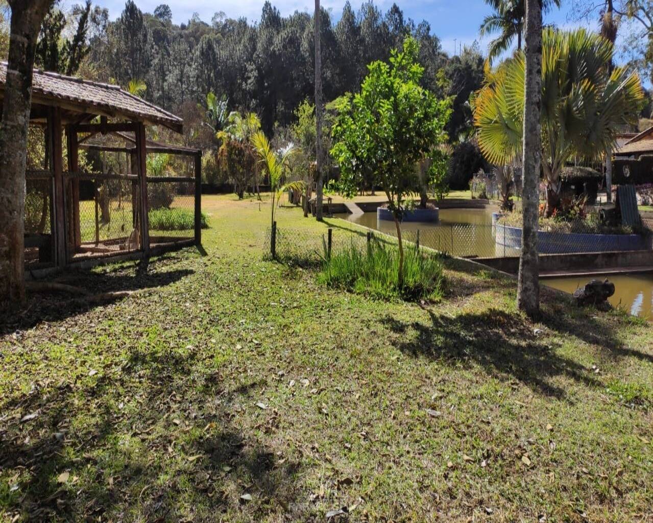 Terreno - Foto 3