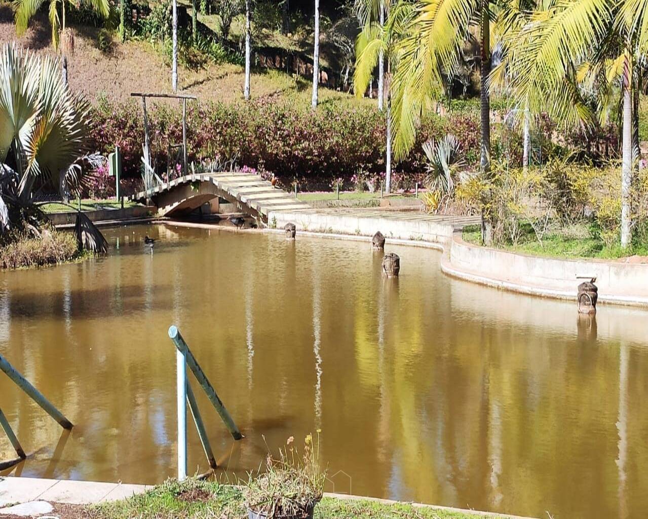 Terreno - Foto 4