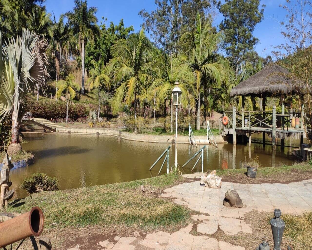 Terreno - Foto 5