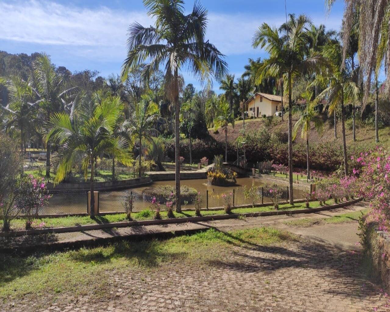 Terreno - Foto 16