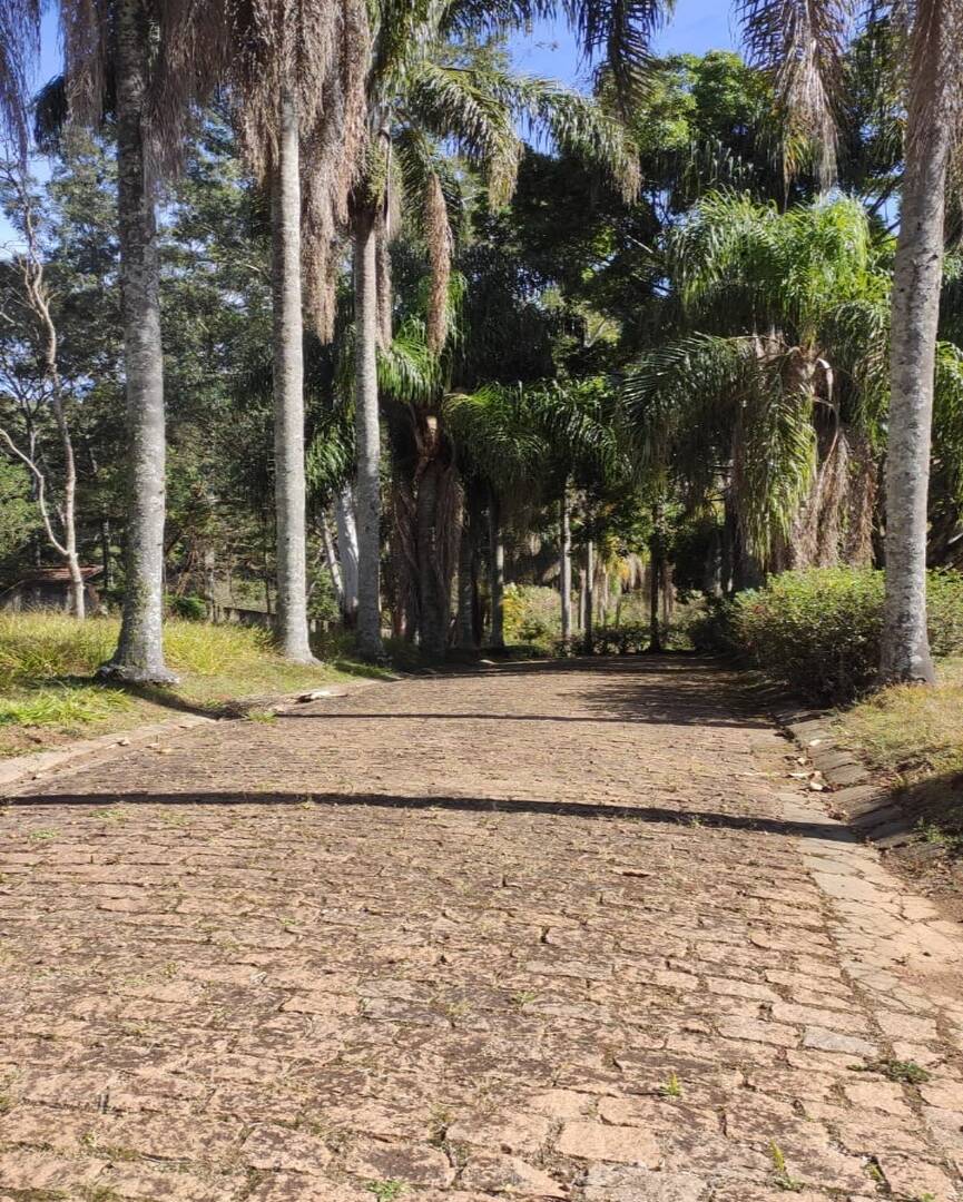 Terreno - Foto 18