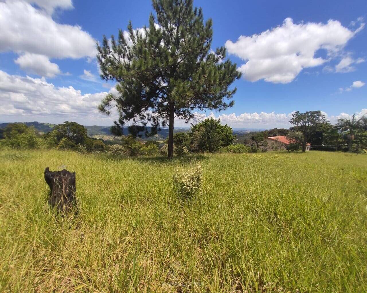 Terreno - Foto 3