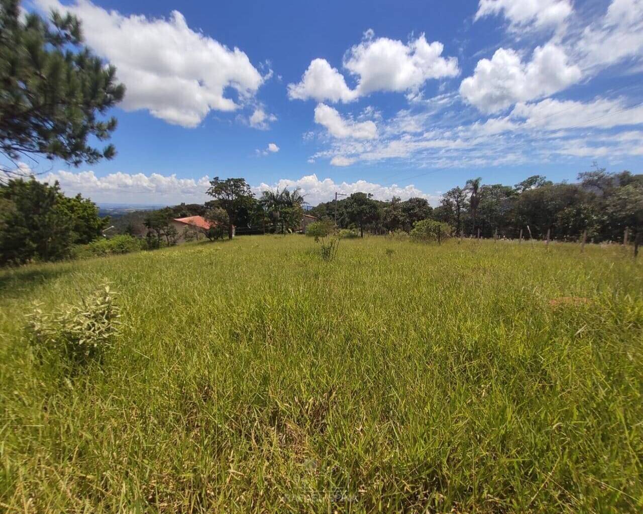 Terreno - Foto 4