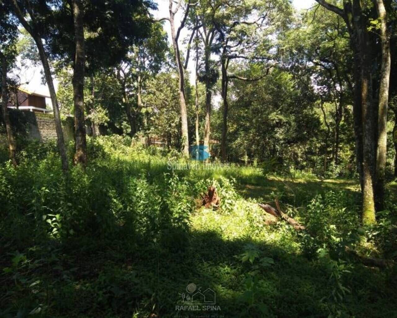 Terreno - Foto 9