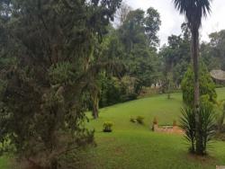 Sítio para Venda em Piracaia - 4