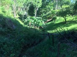 Sítio para Venda em Piracaia - 3