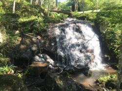 Sítio para Venda em Piracaia - 4