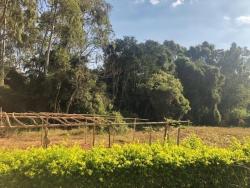 Sítio para Venda em Atibaia - 5