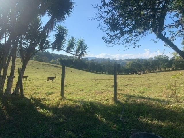Sítio para Venda em Piracaia - 4
