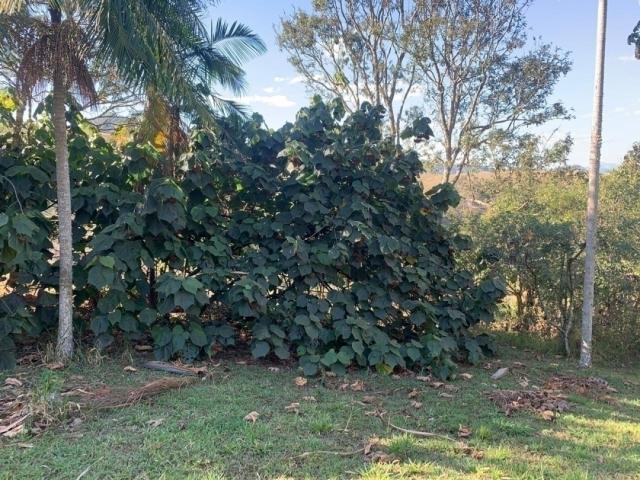 Chácara para Venda em Piracaia - 5