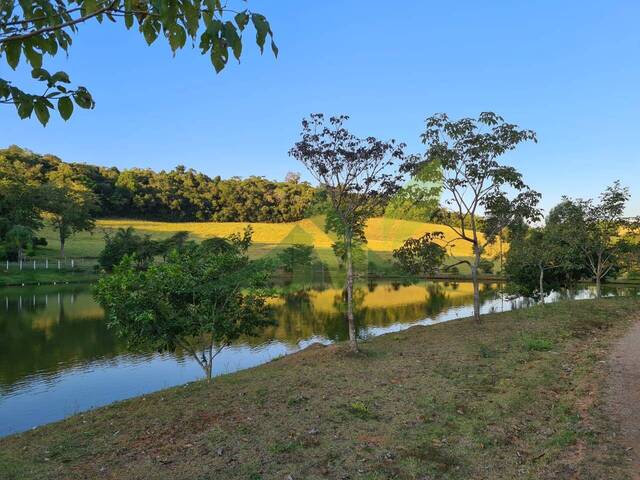 Sítio para Venda em Piracaia - 5