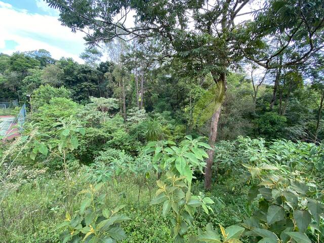 #1741 - Terreno em condomínio para Venda em Atibaia - SP - 3