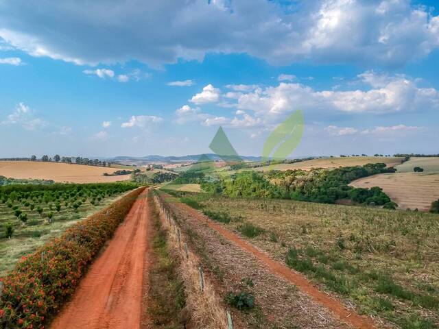 #1975 - Fazenda para Venda em Bragança Paulista - SP