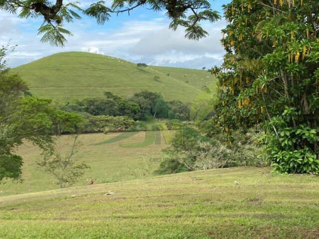 Fazenda para Venda em Barra do Piraí - 4