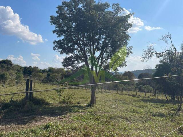 Sítio para Venda em Atibaia - 5