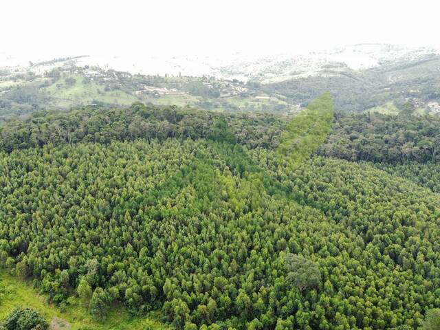 #2552 - Área para Venda em Atibaia - SP