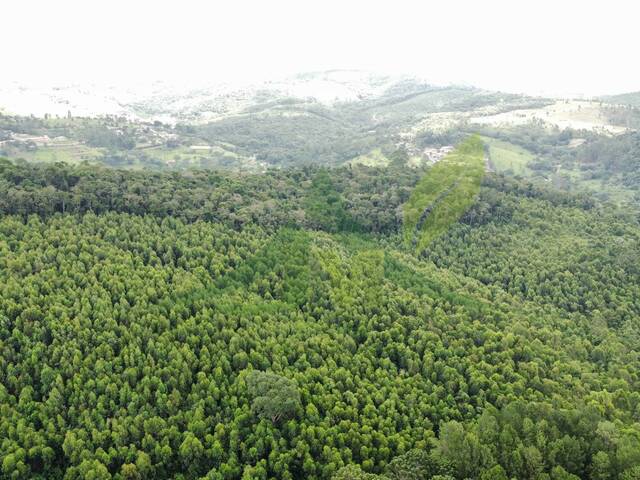 Área para Venda em Atibaia - 4