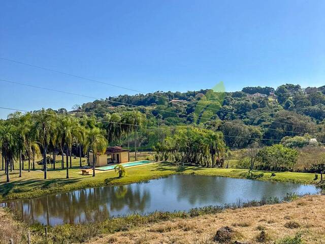 Venda em mãe dos homens - Bragança Paulista