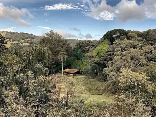 Sítio para Venda em Atibaia - 3