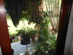 Sítio para Venda em Atibaia - 4