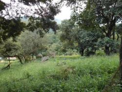 Sítio para Venda em Atibaia - 3