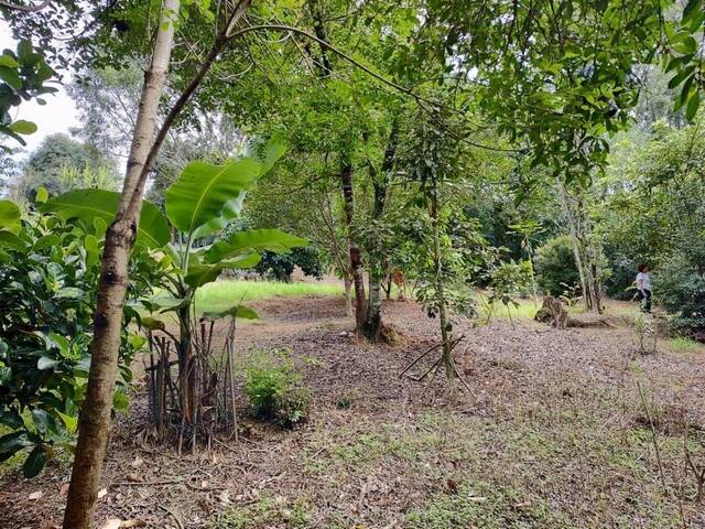 #TC00201 - Terreno em condomínio para Venda em Atibaia - SP
