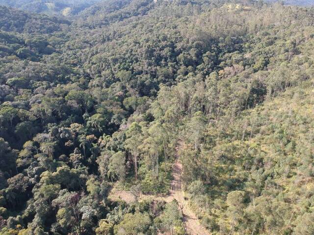 Terreno para Venda em Nazaré Paulista - 4