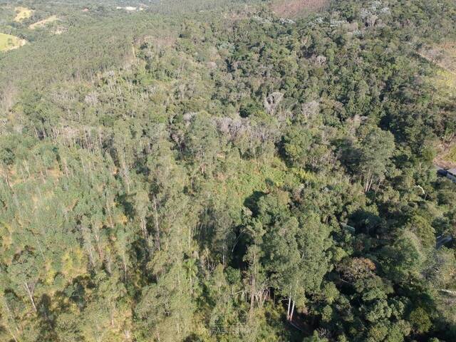 Terreno para Venda em Nazaré Paulista - 5