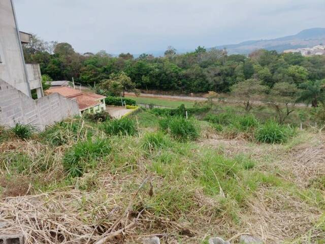 Terreno para Venda em Bom Jesus dos Perdões - 5
