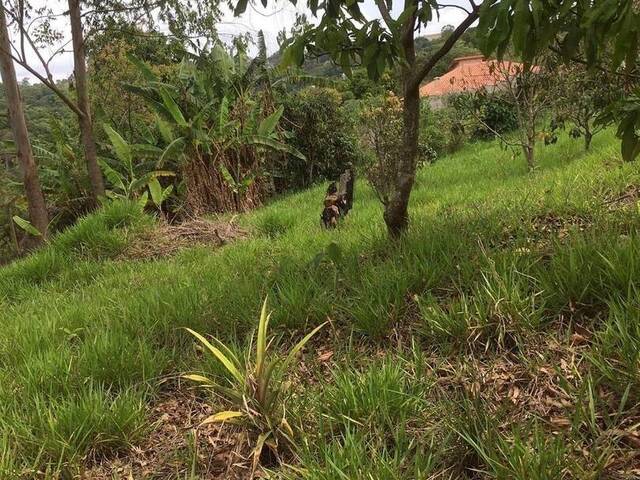 #TE00616 - Terreno para Venda em Atibaia - SP