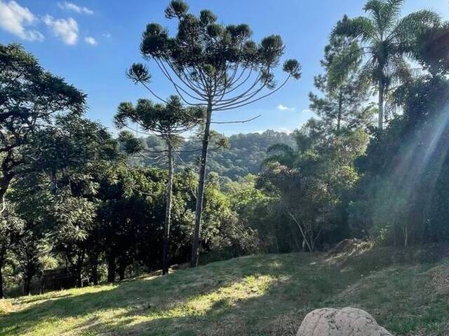 #TE00601 - Terreno para Venda em Atibaia - SP