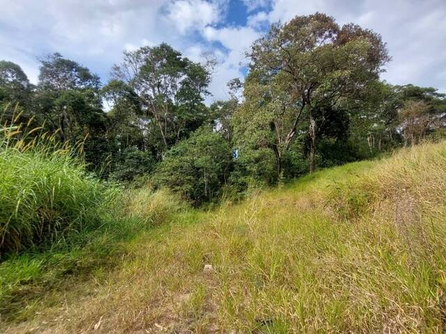 #TE00602 - Terreno para Venda em Atibaia - SP