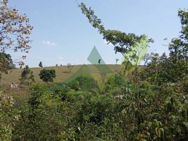 #2559 - Sítio para Venda em Atibaia - SP
