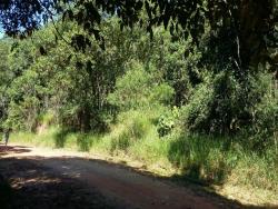 #463 - Terreno para Venda em Atibaia - SP - 3