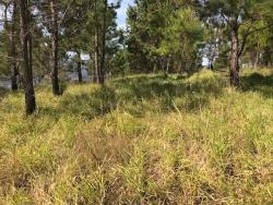 #662 - Terreno para Venda em Atibaia - SP - 3