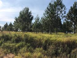 Terreno para Venda em Atibaia - 5
