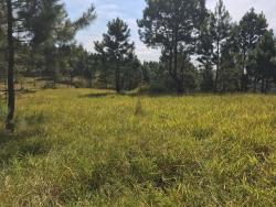 #662 - Terreno para Venda em Atibaia - SP - 1