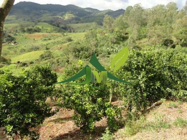 Sítio, 5 quartos, 3 hectares - Foto 18