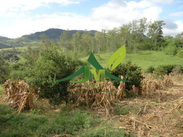 Sítio, 5 quartos, 3 hectares - Foto 19