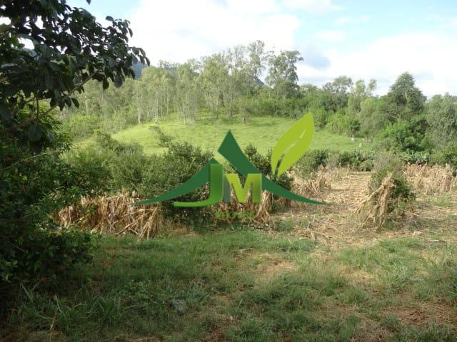 Sítio, 5 quartos, 3 hectares - Foto 17