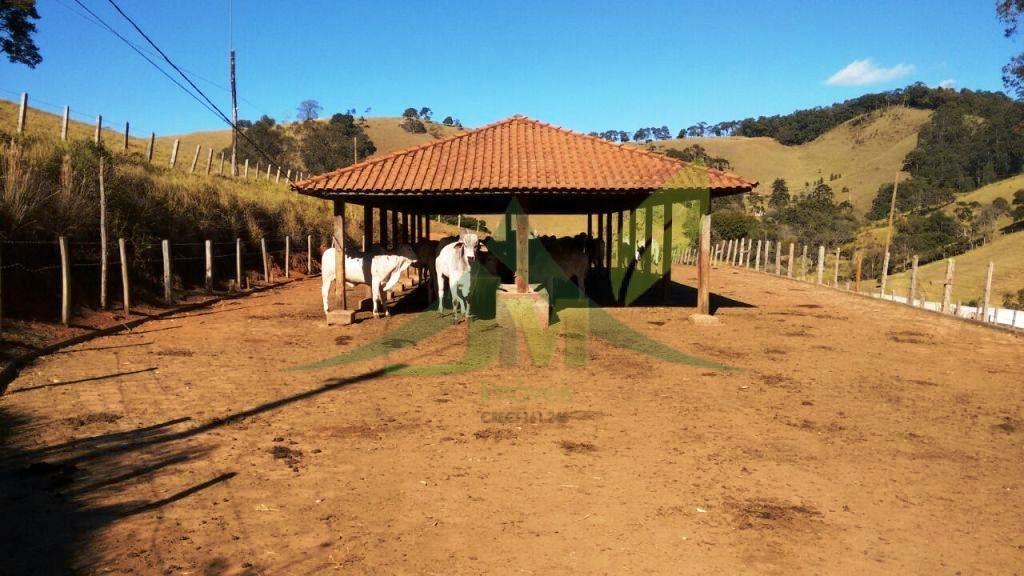 Fazenda, 242 hectares - Foto 18