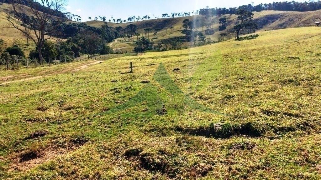 Fazenda, 242 hectares - Foto 13