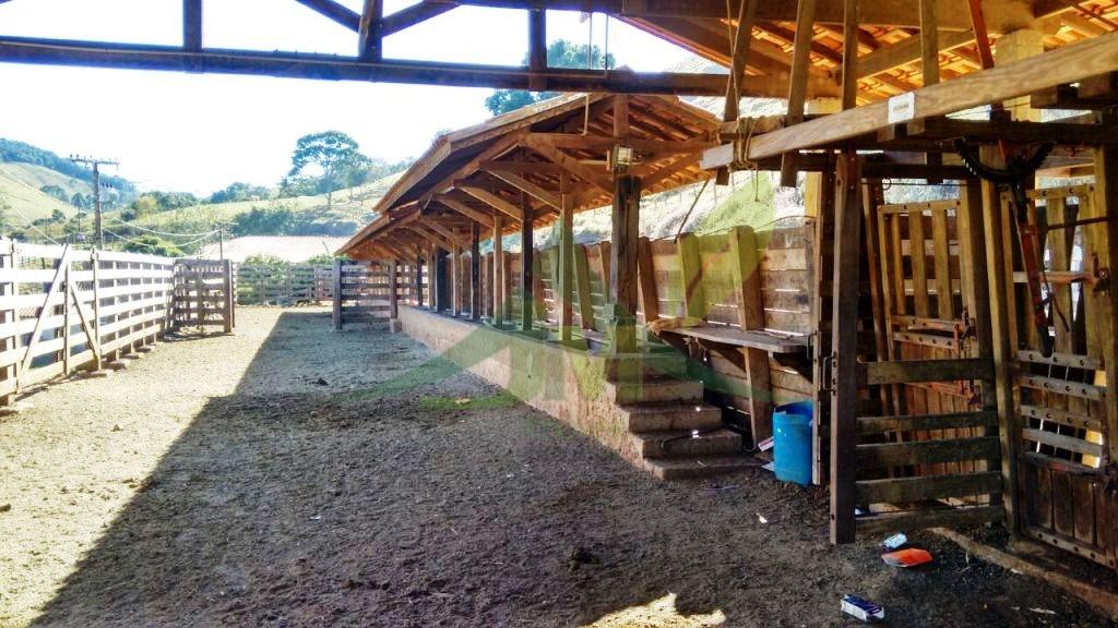 Fazenda, 242 hectares - Foto 16