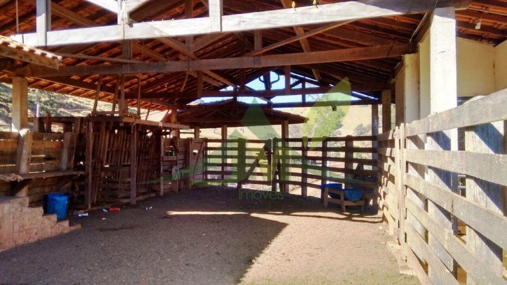 Fazenda, 242 hectares - Foto 14