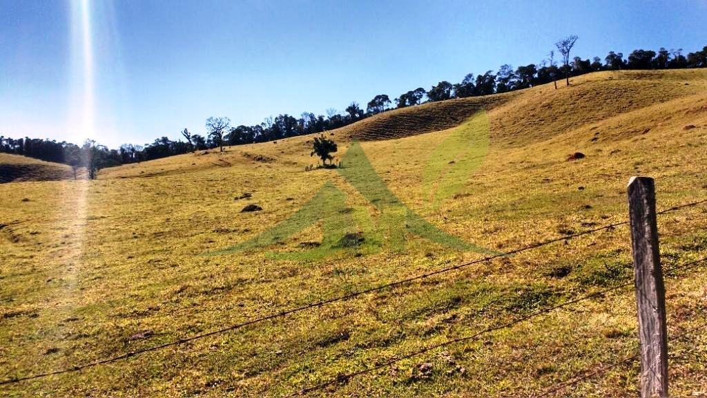 Fazenda, 242 hectares - Foto 10